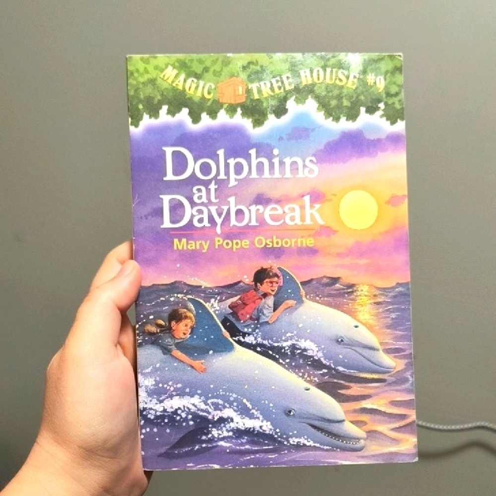 Dolphins at Daybreak Book